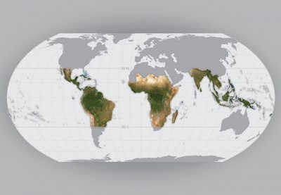 Глобальную спутниковую карту тропических лесов создали норвежцы