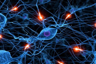 Чернила, руководящие ростом нейронов, создали исследователи