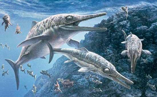 На різних видах здобичі спеціалізувалися іхтіозаври